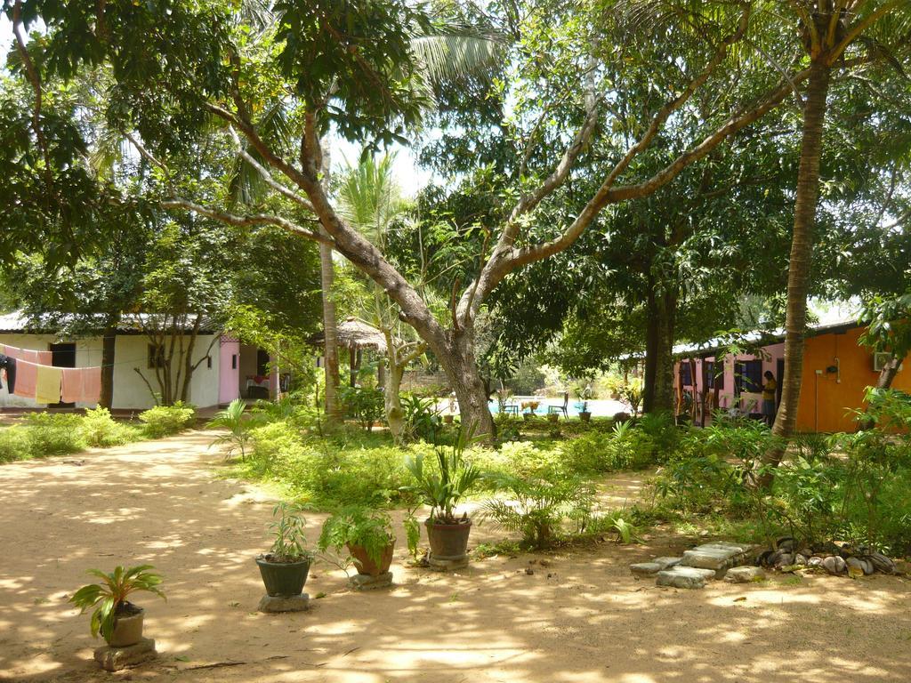 Sunrise Holiday Resort Habarana Ngoại thất bức ảnh