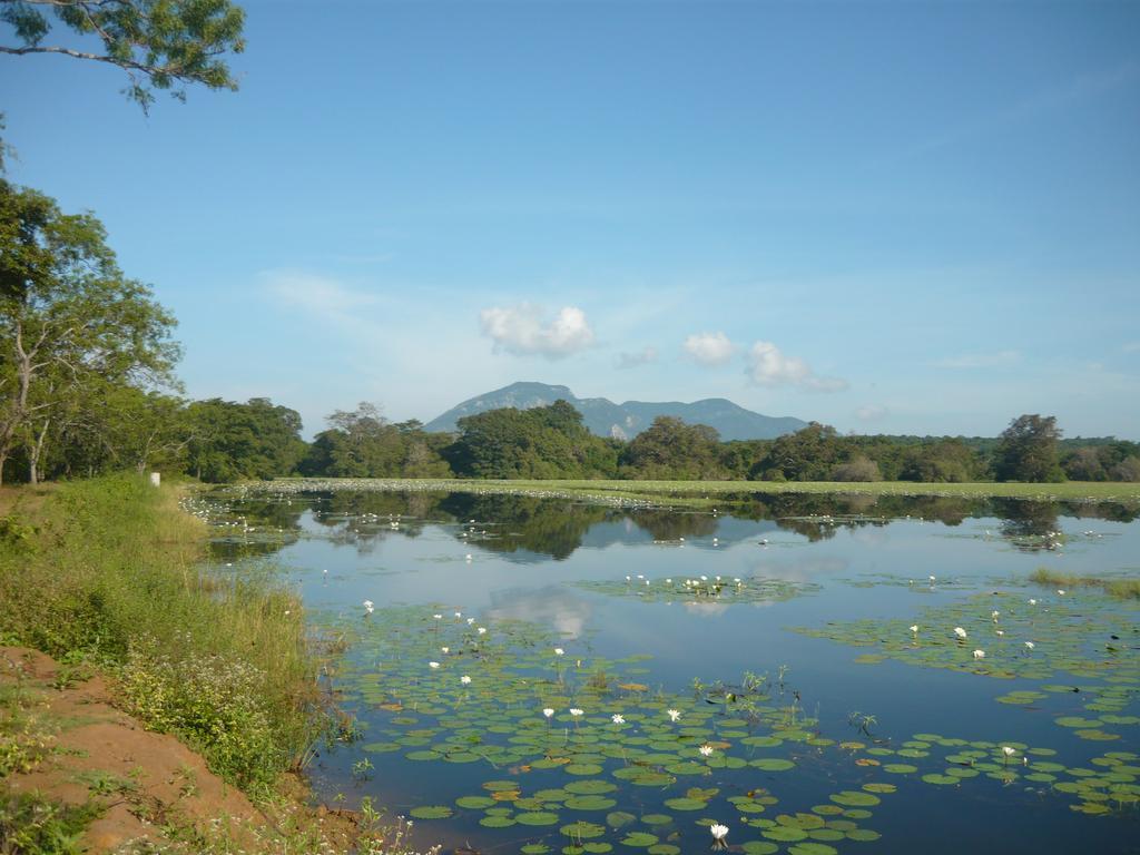 Sunrise Holiday Resort Habarana Ngoại thất bức ảnh