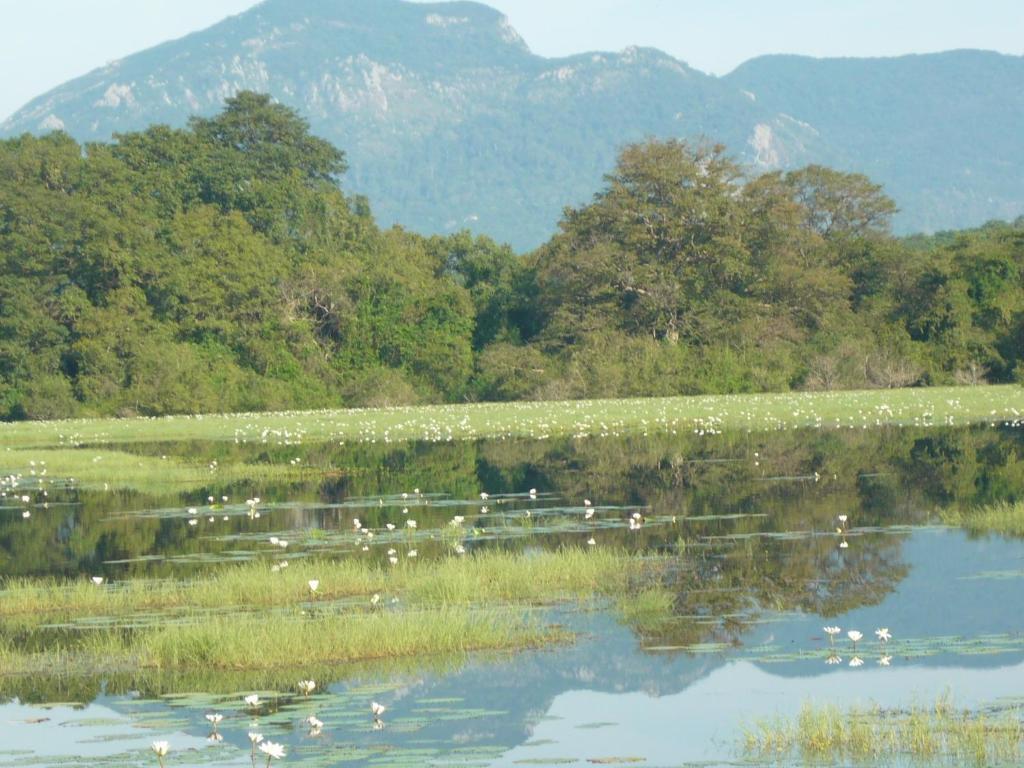 Sunrise Holiday Resort Habarana Ngoại thất bức ảnh